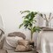 Dracaena Indoor Faux Plant - Faux Plants Indoor, Artificial Plants for Home Decor Indoor, Floor Plants for Living Room Decor - Faux Plants Indoor Tall, Floor Plant, Fake Plants for Living Room Decor - 3.2 Feet